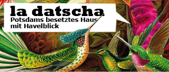 Offener Brief aus der la datscha