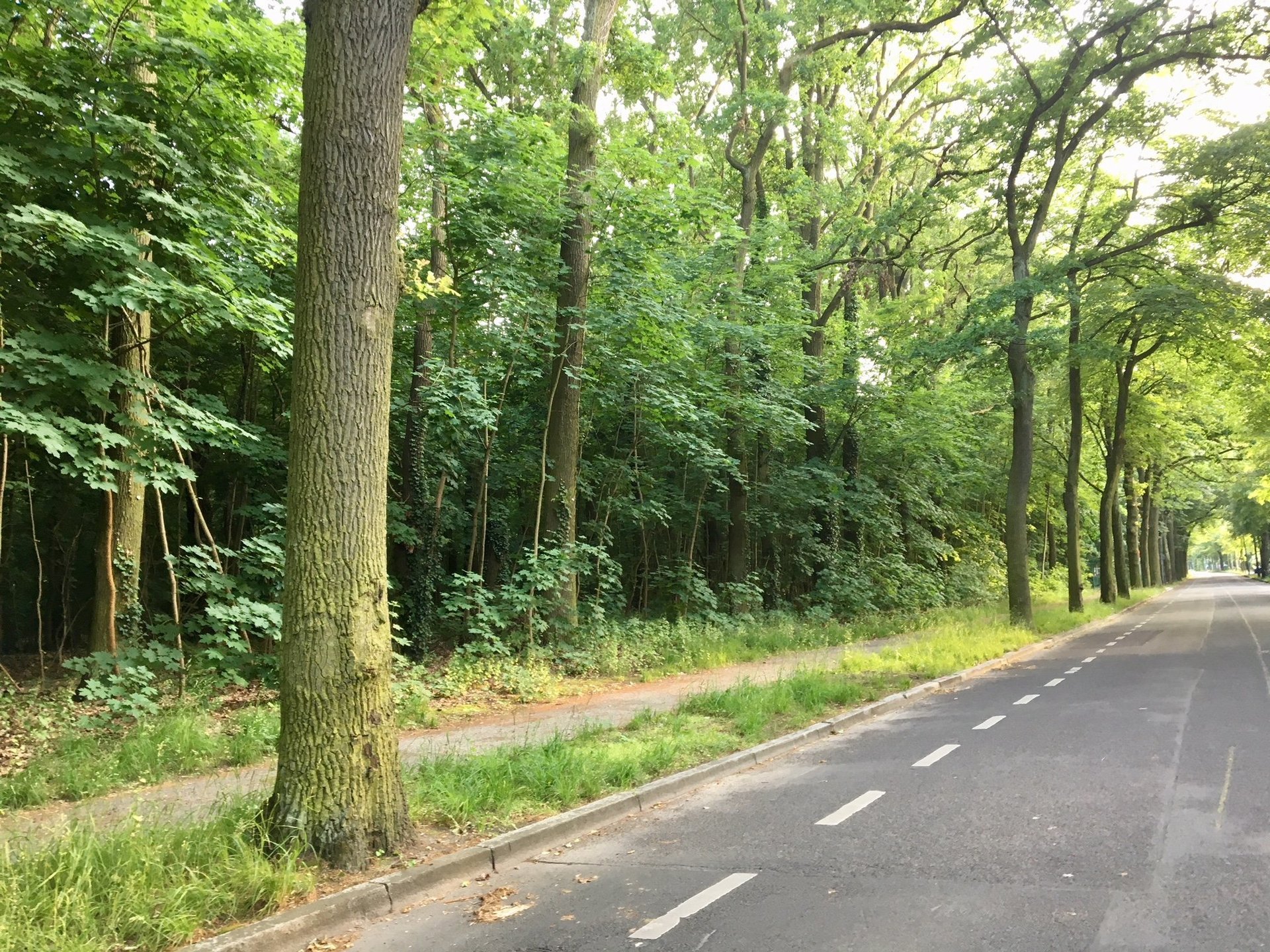 Pläne vs. BürgerInnen